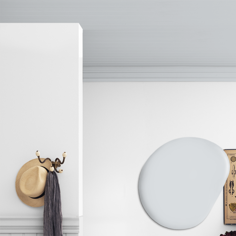 Picture of Ceiling paint - Colour W10 Is