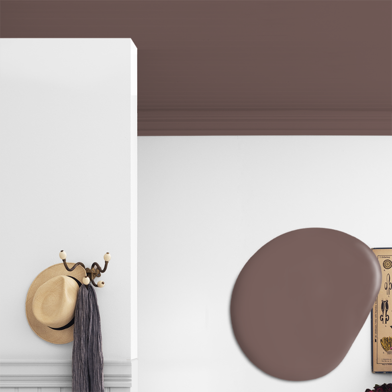 Image de Peinture pour plafond - Couleur W111 Rödkål