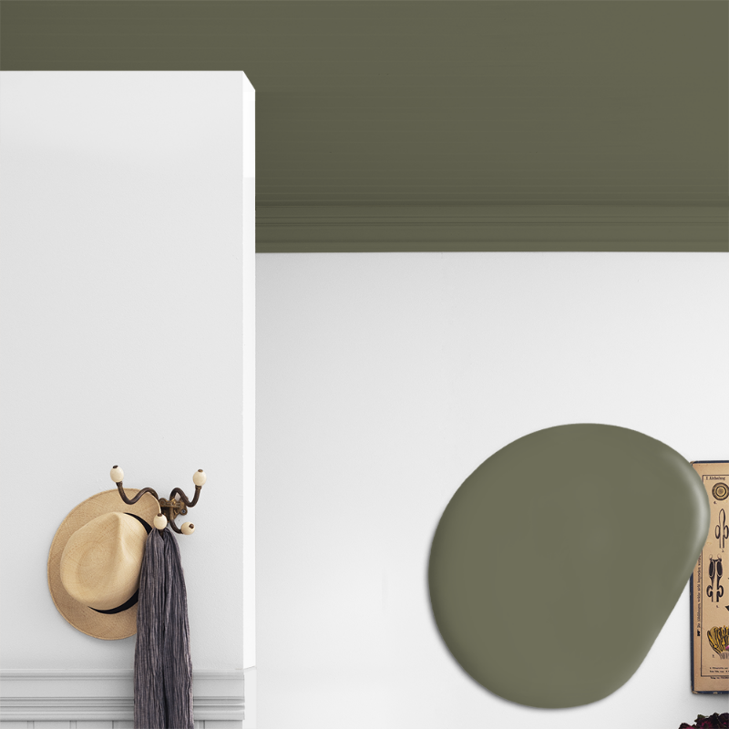 Image de Peinture pour plafond - Couleur W115 Skogsmossa