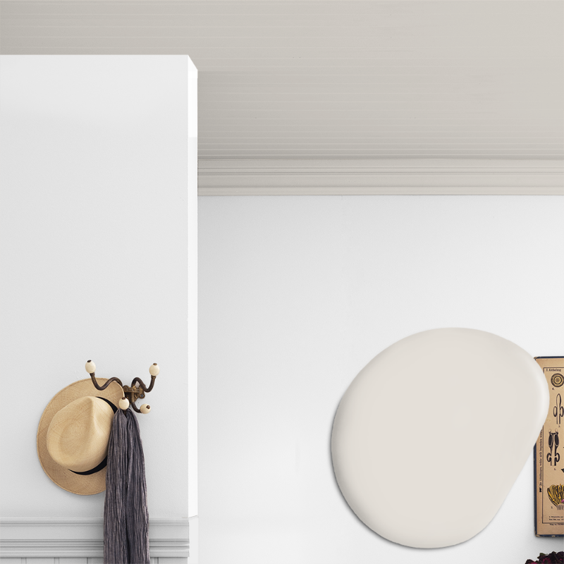 Picture of Ceiling paint - Colour W12 Renlav