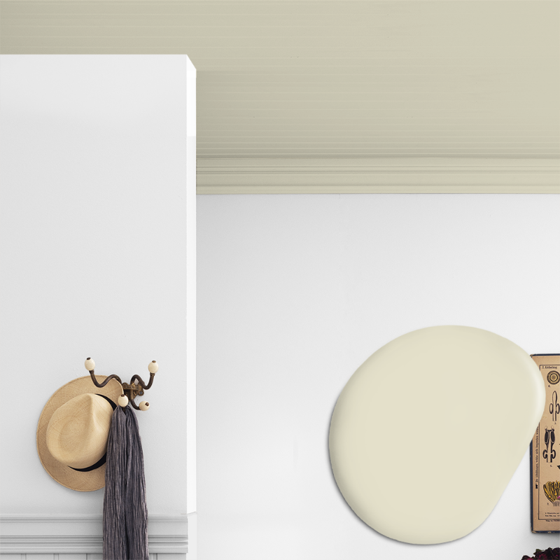 Picture of Ceiling paint - Colour W127 Madagaskar vit