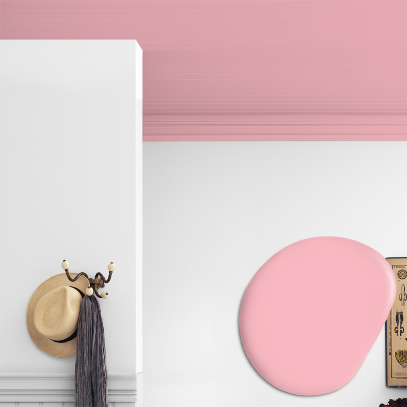 Afbeeldingen van Plafond verf - Kleur W137 Bubbelgum