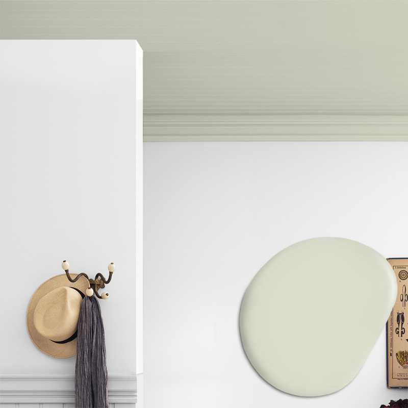 Picture of Ceiling paint - Colour W14 Päronmjölk