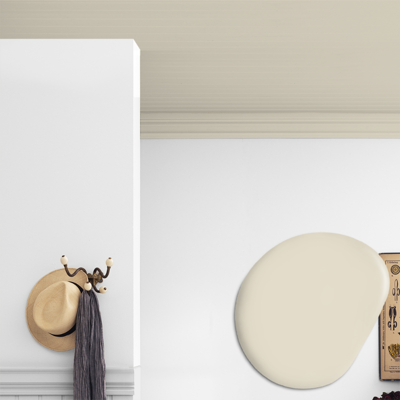 Picture of Ceiling paint - Colour W143 Äggskal