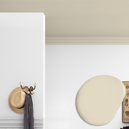 Immagine di Vernice per soffitto - Colore W17 Chai