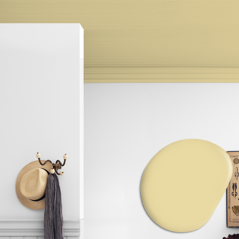 Picture of Ceiling paint - Colour W19 Vårsol