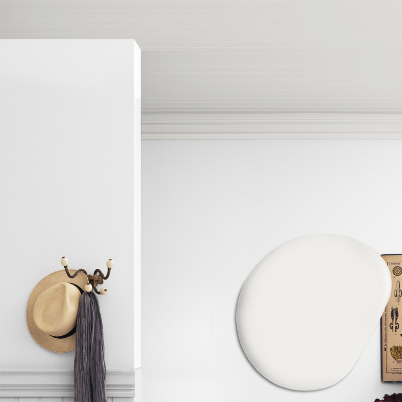 Picture of Ceiling paint - Colour W2 Snö