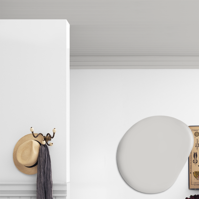 Picture of Ceiling paint - Colour W21 Snöstorm