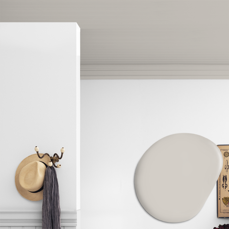 Picture of Ceiling paint - Colour W23 Greige