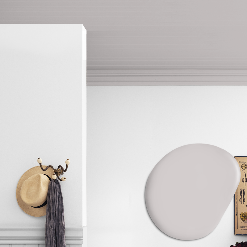 Picture of Ceiling paint - Colour W27 Morgondimma