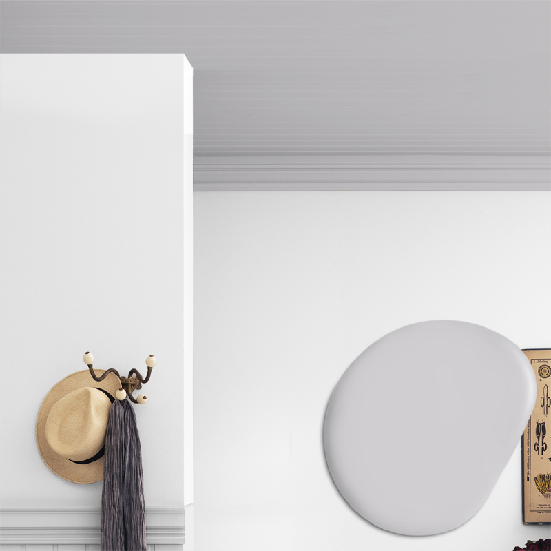 Picture of Ceiling paint - Colour W28 Regnmoln