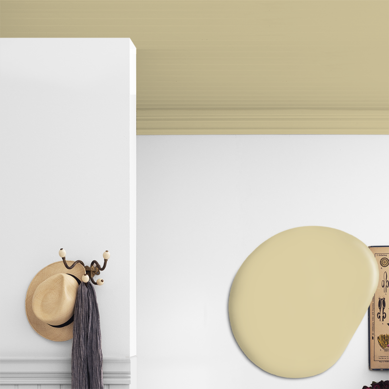 Picture of Ceiling paint - Colour W29 Tussilago