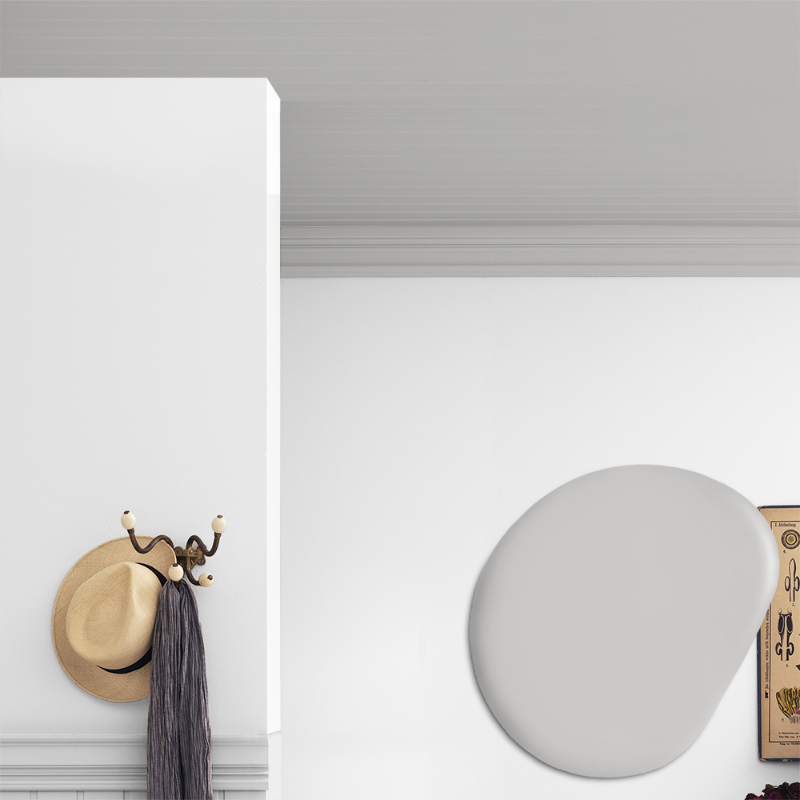 Picture of Ceiling paint - Colour W31 Silver