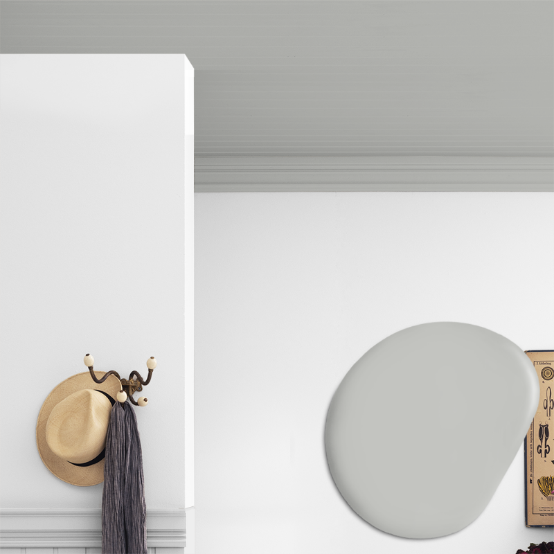 Image de Peinture pour plafond - Couleur W35 Fjälldimma