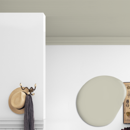 Image de Takfärg - Kulör W43 Nätmelon