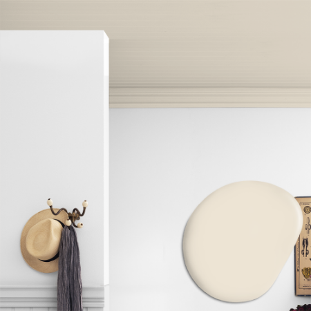 Immagine di Vernice per soffitto - Colore W5 Blekrosa