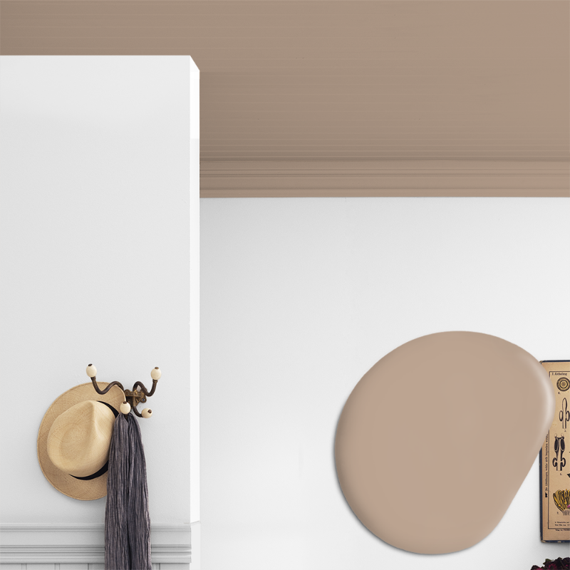 Image de Peinture pour plafond - Couleur W70 Milkshake
