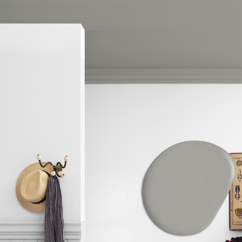 Image de Peinture pour plafond - Couleur W76 Betong