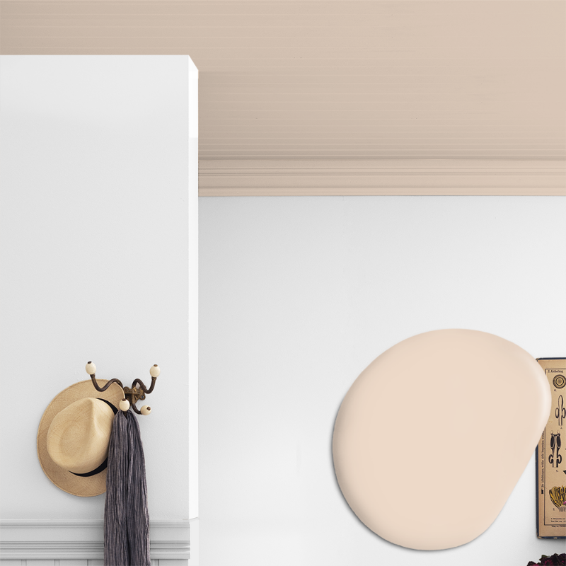 Picture of Ceiling paint - Colour W8 Tyll