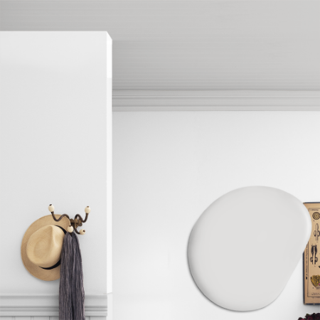 Immagine di Vernice per soffitto - Colore W9 Frost