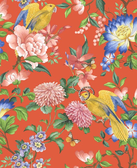 Picture of Golden Parrot Coral - W013001