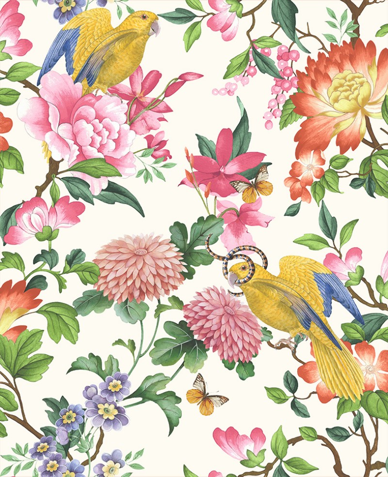 Picture of Golden Parrot Ivory - W013002