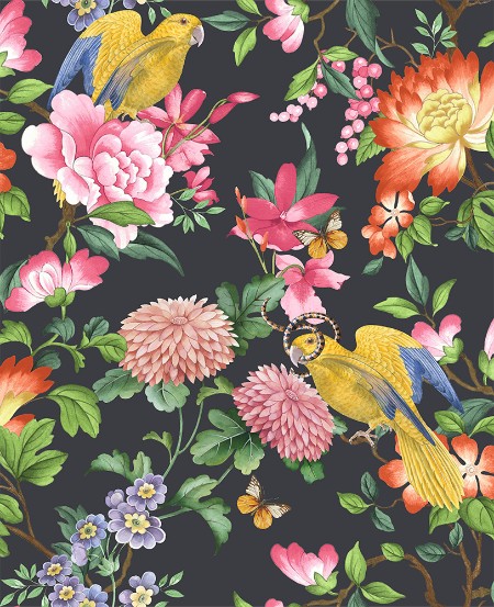 Picture of Golden Parrot Noir - W013004