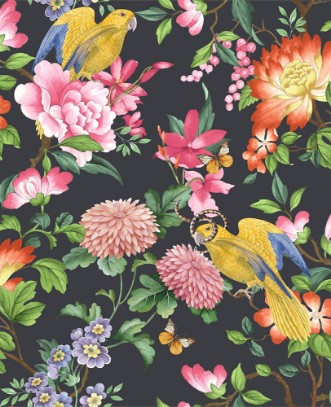 Bild på Golden Parrot Noir - W013004