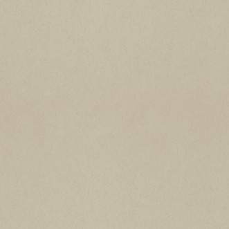 Picture of Anis - 77015