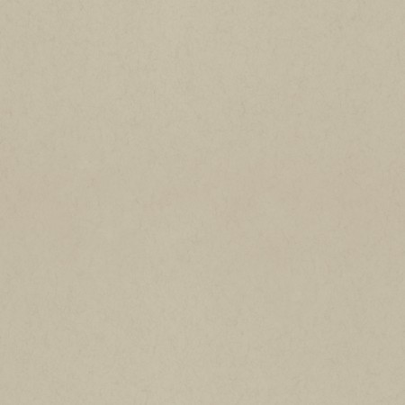 Picture of Anis - 77015