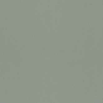 Picture of Avocado - 77002