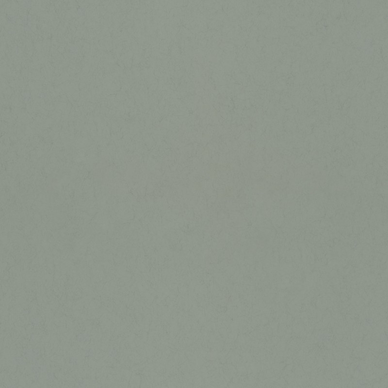 Image de Avocado - 77002