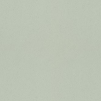 Image de Mint - 77003