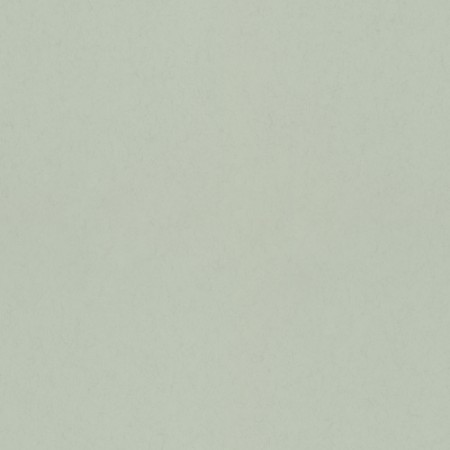 Image de Mint - 77003