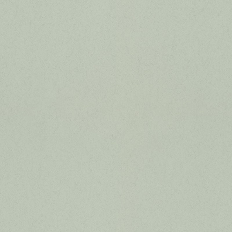 Picture of Mint - 77003