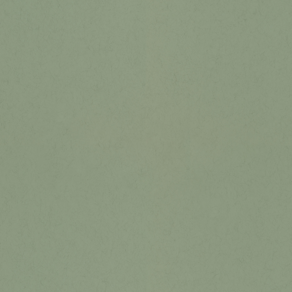 Picture of Salvia - 77006