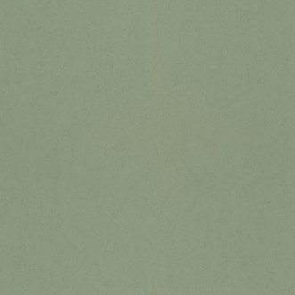 Picture of Salvia - 77006