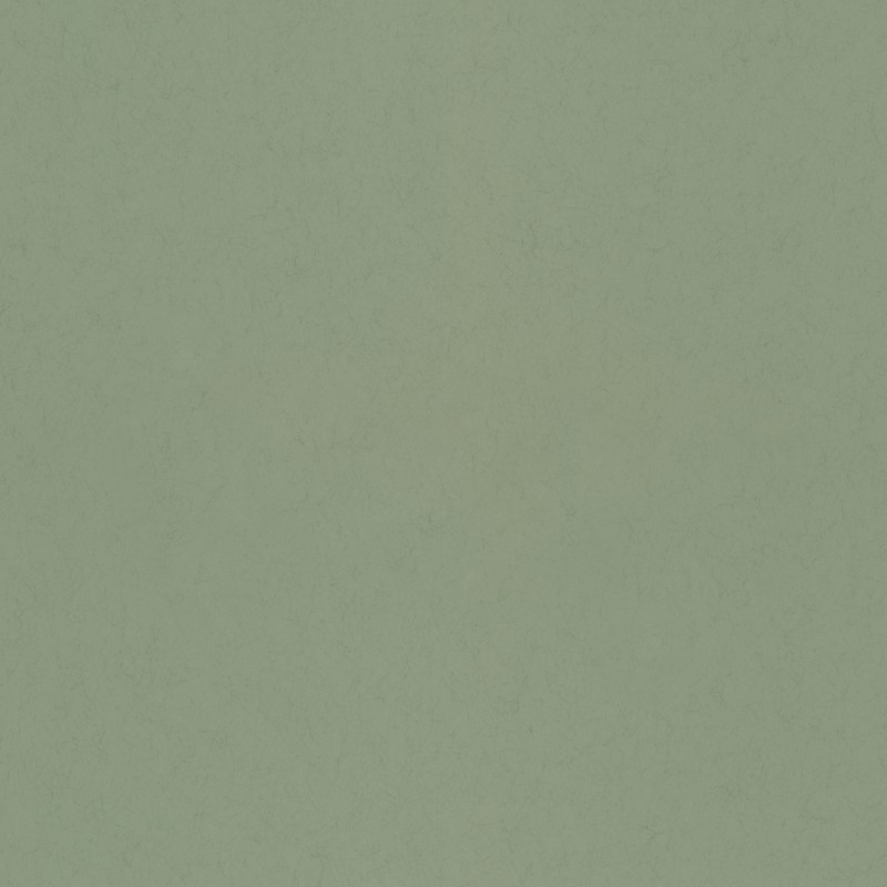 Picture of Salvia - 77006