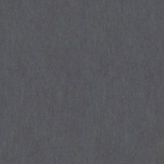 Picture of Indra - 296258