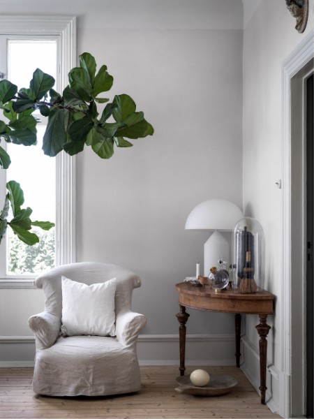 Picture of Birch White - 4413