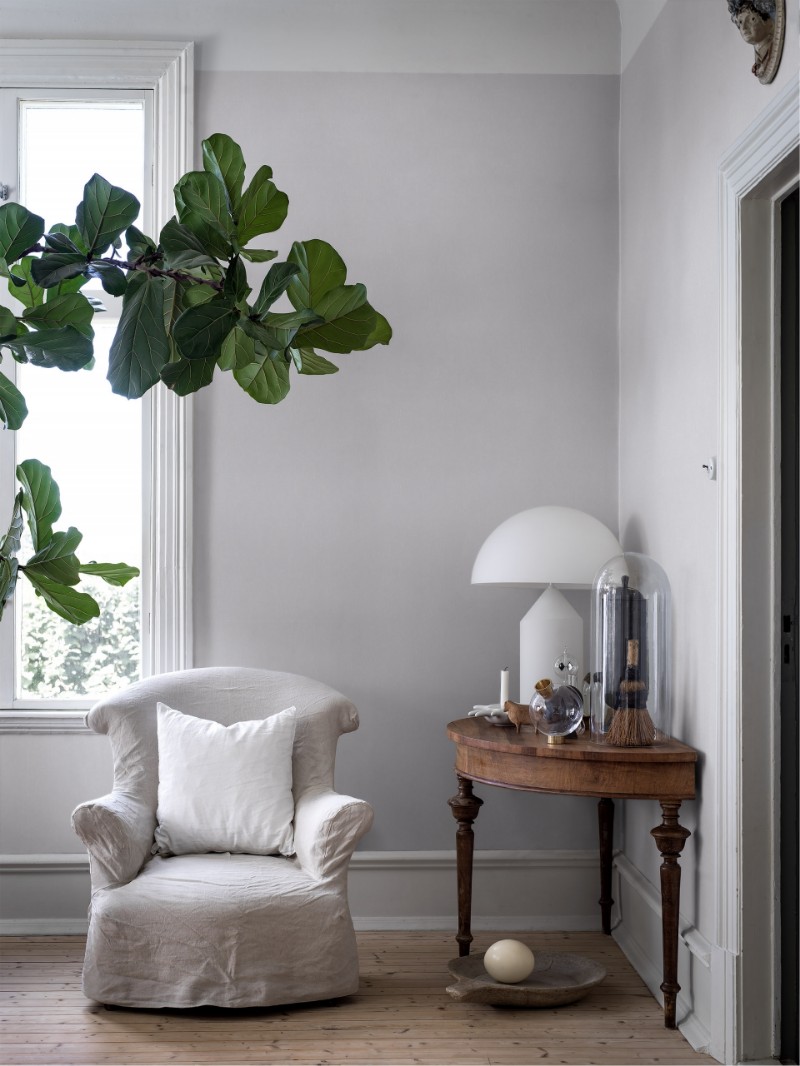 Picture of Silver Cloud - 4429