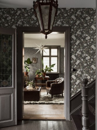 Image de Enchanting Flower - 4278