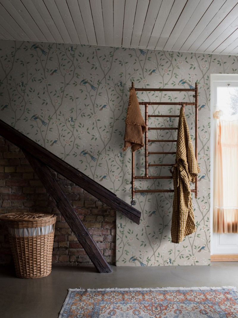 Picture of Paradise Birds - 4270