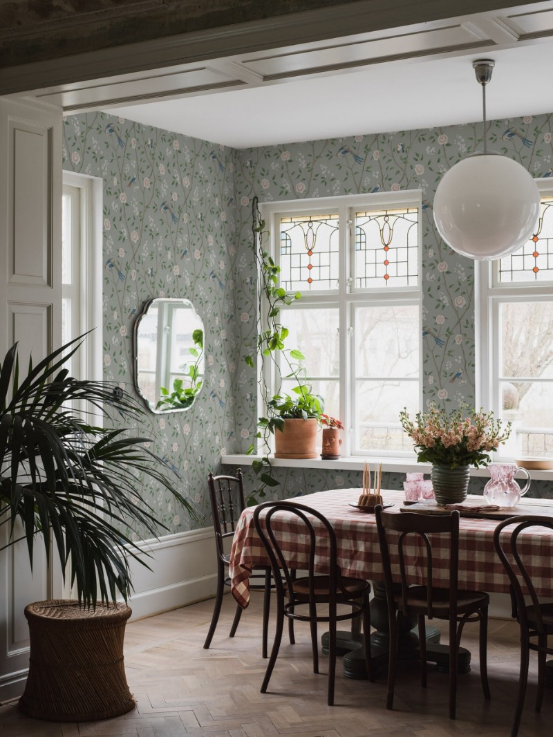 Picture of Paradise Birds - 1903