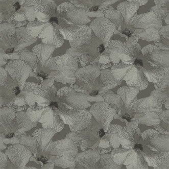 Bild på Annuell - 11004