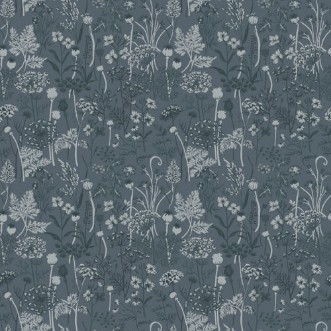 Image de Dara - 39022