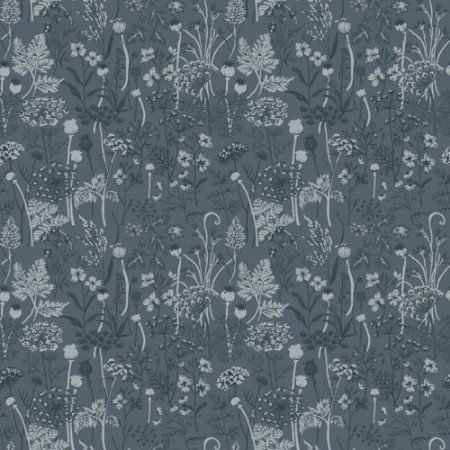 Image de Dara - 39022