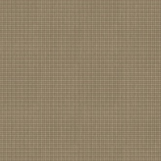 Picture of Medina - 19120