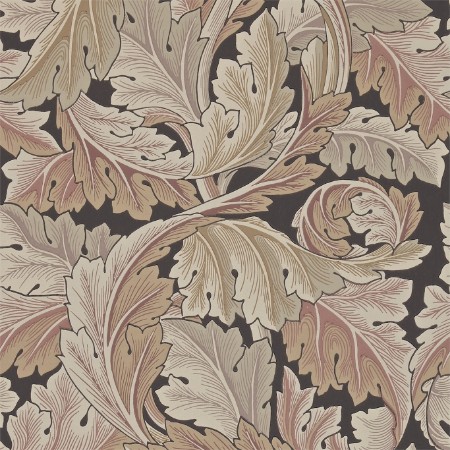 Picture of Acanthus Terracotta - 212551