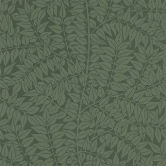 Image de Branch Forest - 210374